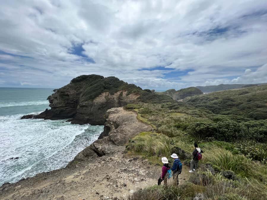 From Auckland: Guided Tour of Piha with Scenic Beach Walks - Piha South: cliffs, sea caves, and the reality of coastal rock
