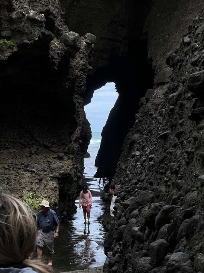 From Auckland: Guided Tour of Piha with Scenic Beach Walks - Snacks, beachside picnic, and the café pause that keeps energy up