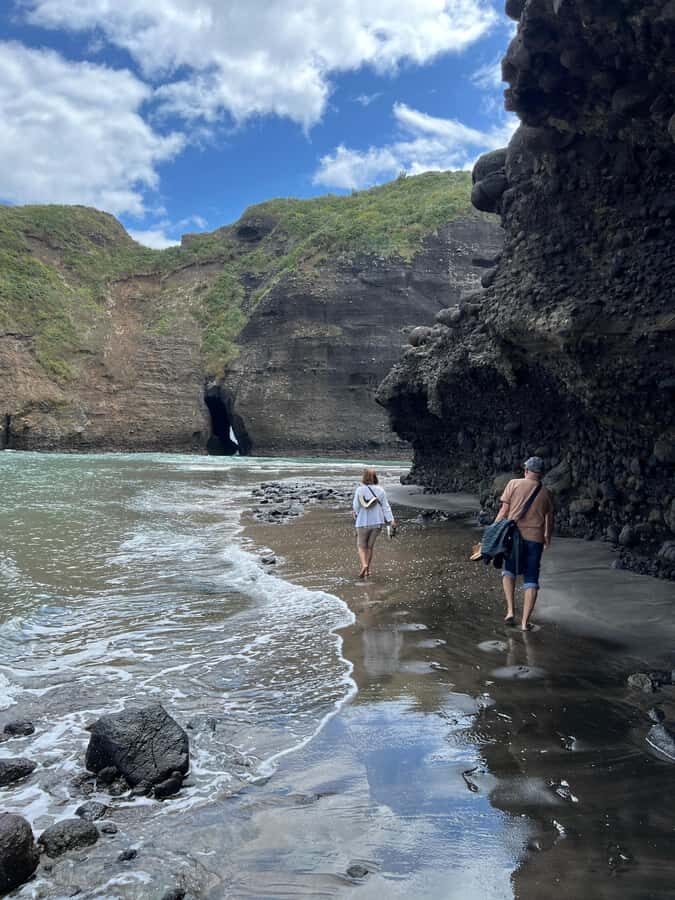 From Auckland: Guided Tour of Piha with Scenic Beach Walks - Small-group comfort: Mercedes Sprinter, live guide, real time to enjoy