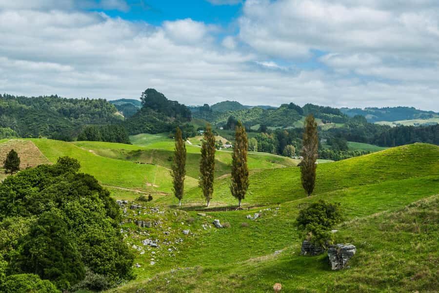 From Auckland: Hobbiton and Waitomo Day Tour with Lunch - Green Dragon Inn drink and Party Marquee buffet lunch: the themed break you’ll actually enjoy