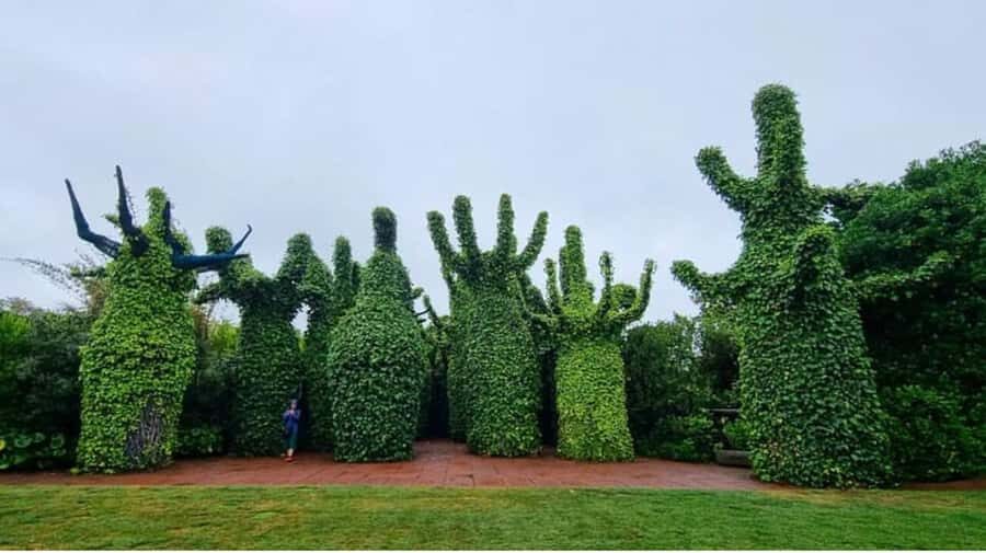 From Auckland: Hobbiton & Hamilton Gardens Small Group Tour - Hamilton Gardens: self-guided time in themed rooms of plants