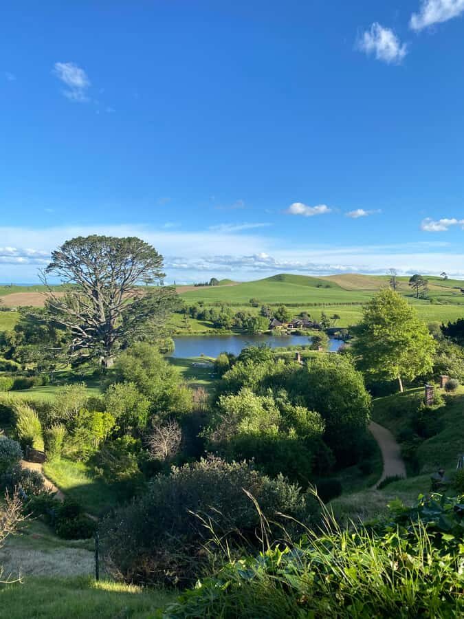 From Auckland: Hobbiton & Hamilton Gardens Small Group Tour - The 2.5-hour Hobbiton tour: Bilbo’s Bag End, hobbit holes, and real farm context