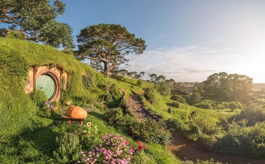 From Auckland: Hobbiton Movie Set Day Tour with Picnic Lunch - Key highlights worth noting