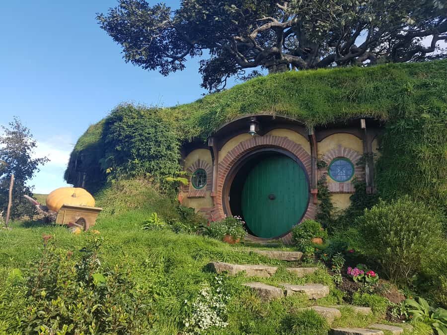 From Auckland: Hobbiton & Rotorua Tour with Lunch at Te Puia - Quick Key Points Before You Go