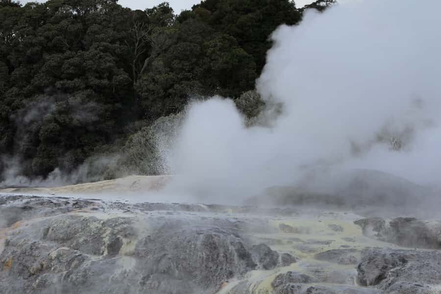 From Auckland: Hobbiton & Rotorua Tour with Lunch at Te Puia - One-Way Option: Drop Off in Rotorua Instead of Back to Auckland