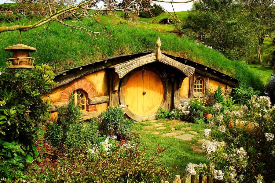 From Auckland: Hobbiton & Rotorua Tour with Lunch at Te Puia - Te Puia and Te Whakarewarewa Valley: Geothermal Sights Plus Māori Cultural Learning