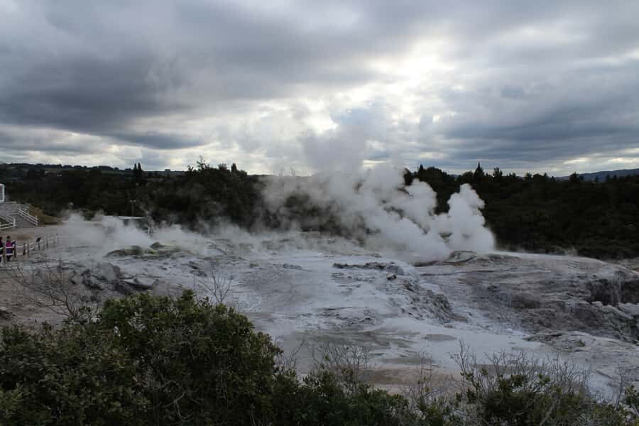 From Auckland: Hobbiton & Rotorua Tour with Lunch at Te Puia - The Te Puia Buffet Lunch: A Real Meal, Not a Token Bite