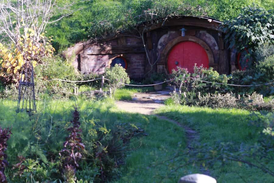 From Auckland: Hobbiton & Rotorua Tour with Lunch at Te Puia - Pacing, Comfort, and the Reality of a 10–13 Hour Schedule