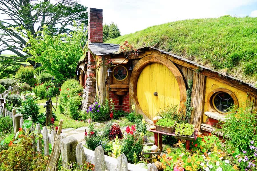 From Auckland: Hobbiton & Rotorua Tour with Lunch at Te Puia - Price and What $286 Buys You (and What It Saves You)