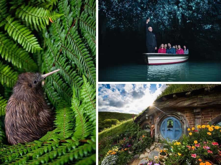 From Auckland: Hobbiton, Waitomo Caves & Kiwi House Tour - Starting in Auckland: Pickup Windows and the Waikato View Drive