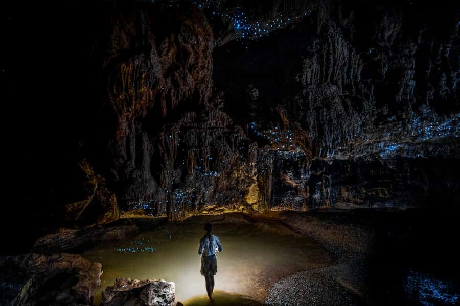 From Auckland or Rotorua: Hobbiton & Waitomo Tour with Lunch - Hobbiton and Waitomo from Auckland: how this day actually works
