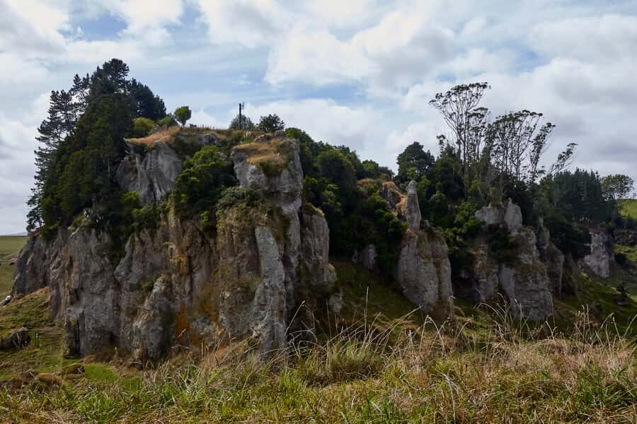 From Auckland or Rotorua: Hobbiton & Waitomo Tour with Lunch - Waitomo Glowworm Caves: how the 45-minute cave tour and boat ride feel