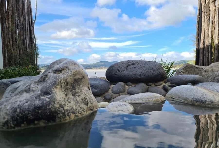 From Auckland: Rotorua Te Puia, Haka & Polynesian Spa Tour - Who This Tour Fits, and Who Might Feel Crunched