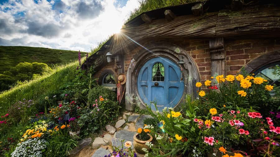 From: Auckland: Rotorua via Hobbiton Tour One Way Tour - Waikato Countryside Drive: Photo Stops and Farm Animal Moments