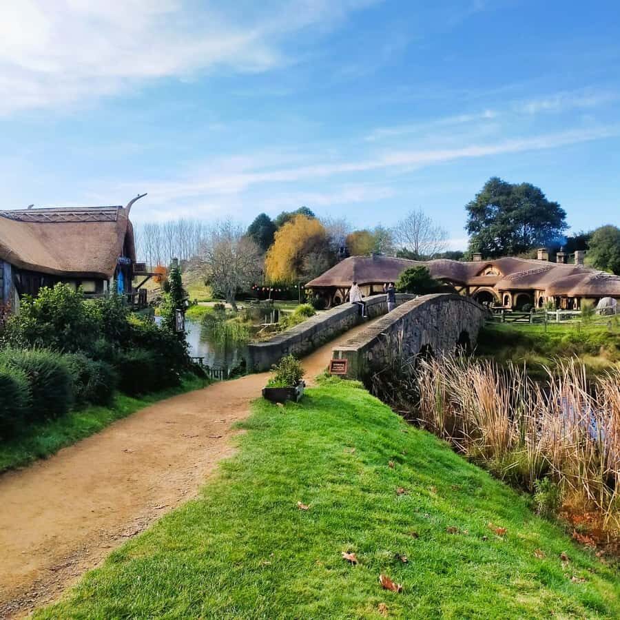 From: Auckland: Rotorua via Hobbiton Tour One Way Tour - Door-to-Door Pickup and the Comfort Factor