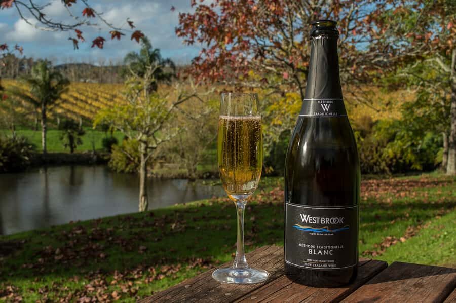 From Auckland: Small Group Kumeu Wine Tour with Lunch - From central Auckland to Kumeu: the value of door-to-door pickup