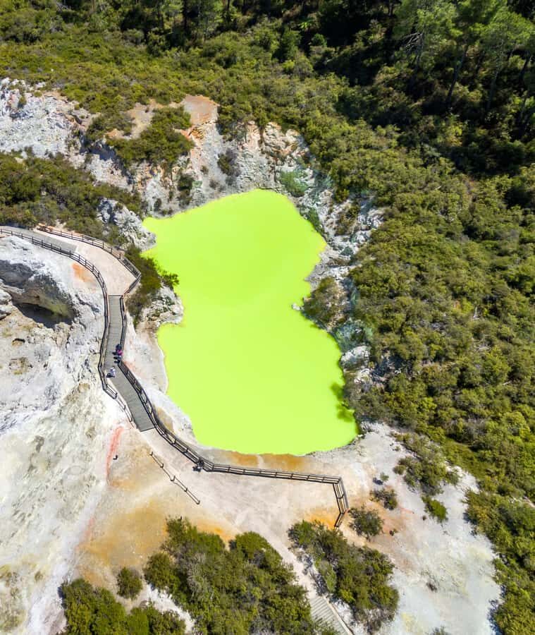 From Auckland: Wai-O-Tapu & Polynesian Spa Rotorua Day Tour - Polynesian Spa on Lake Rotorua: how to choose your mineral pool time