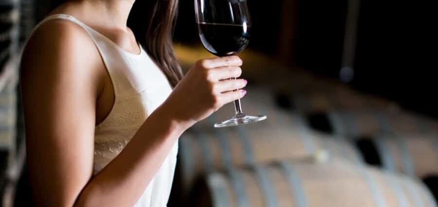 From Auckland: Waiheke Island Wineries' Tour - From Auckland to Waiheke: the ferry ride sets the tone
