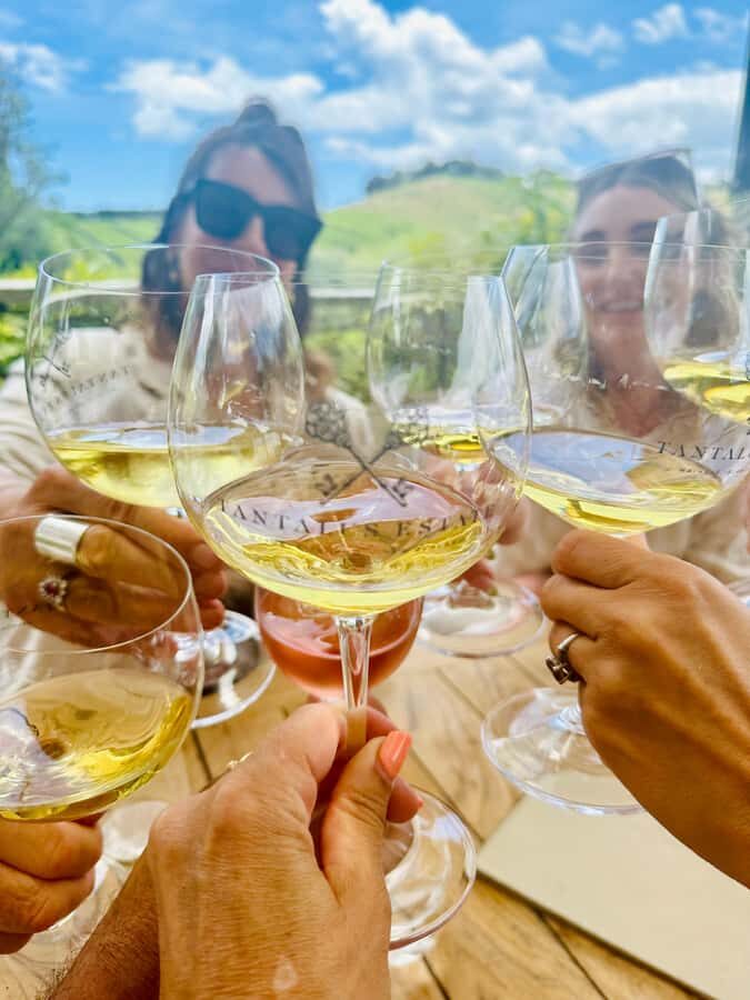 From Auckland: Waiheke Island Wineries' Tour - A 6-hour wine plan that stays comfortable (mostly)