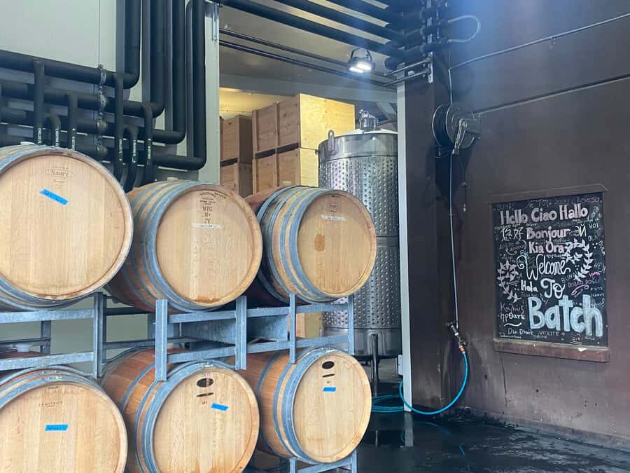 From Auckland: Waiheke Island Wineries' Tour - Transport and group size: why the “max 10” detail changes everything