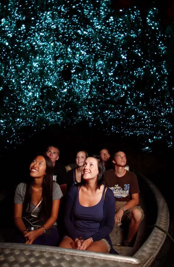 From Auckland: Waitomo Caves and Kiwi House Group Tour - How the 9-hour schedule from Auckland really works