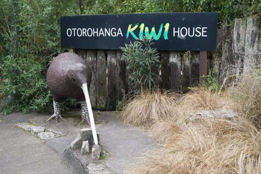From Auckland: Waitomo Caves and Kiwi House Group Tour - Otorohanga lunch stop: budget time and expect local flavor