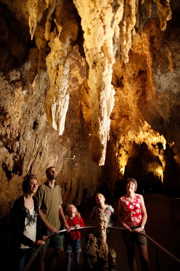 From Auckland: Waitomo Caves and Kiwi House Group Tour - Small group size and hotel pickup: smooth when you’re early