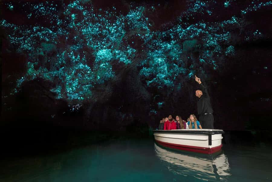 From Auckland: Waitomo Glow Worm Caves & Rotorua Tour - Key points to know before you go