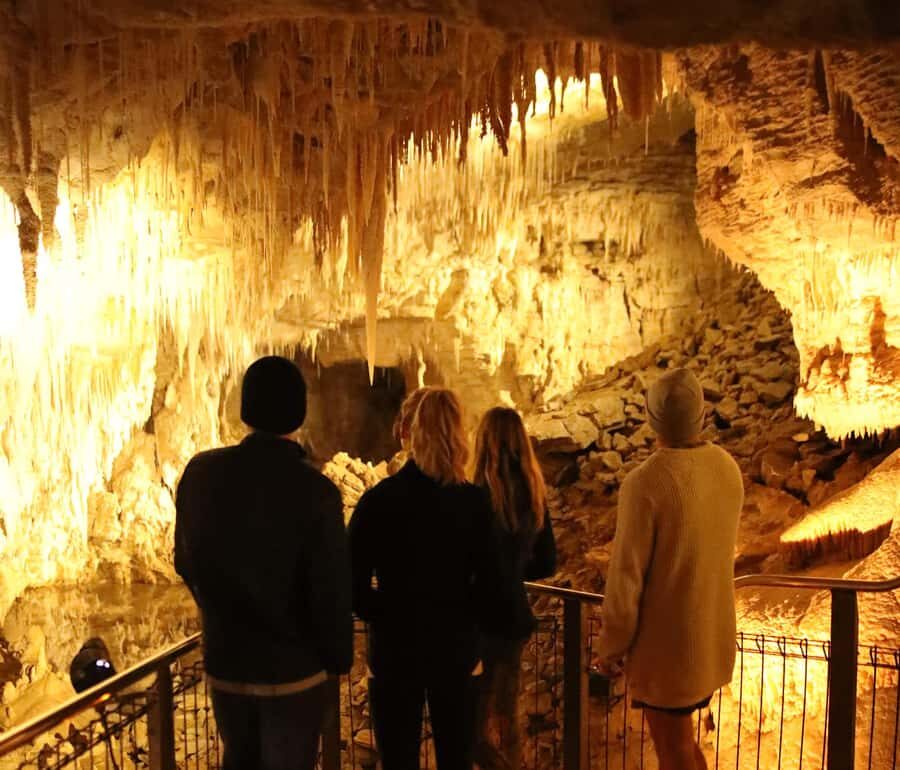 From Auckland: Waitomo Glow Worm Caves & Rotorua Tour - Waitomo Glowworm Caves: the guided glowworm show and 50-minute river cruise