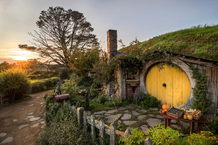 From Auckland: Waitomo & Hobbiton Bus Tour with Lunch - Key Things I’d Pay Attention To