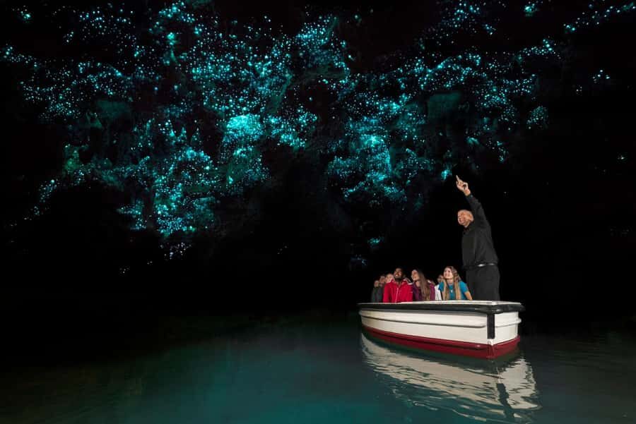 From Auckland: Waitomo & Hobbiton Bus Tour with Lunch - Picnic Lunch: What You Get, and What Can Go Wrong