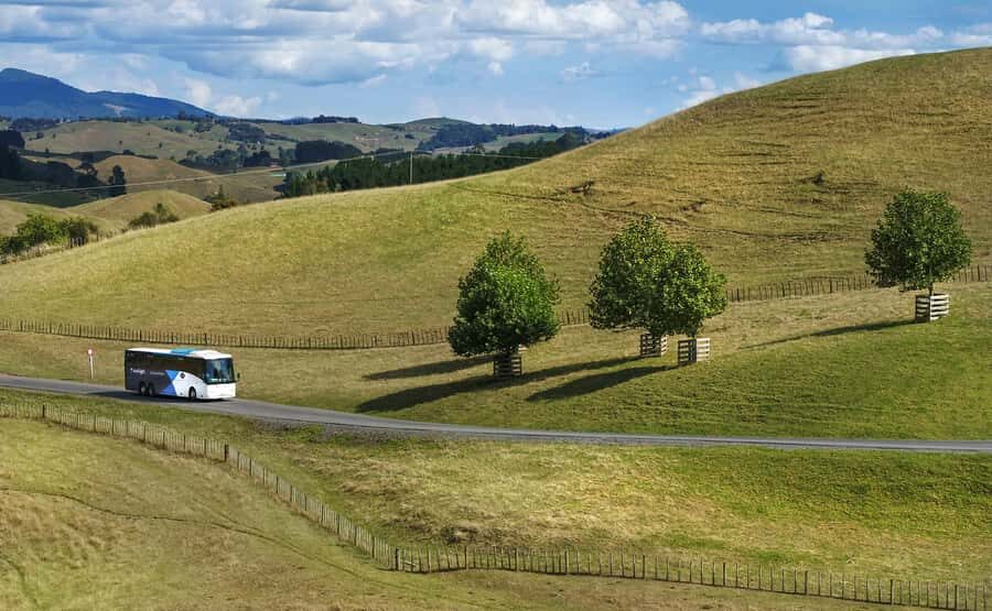 From Auckland: Waitomo & Hobbiton Bus Tour with Lunch - Should You Book This Auckland Day Trip?