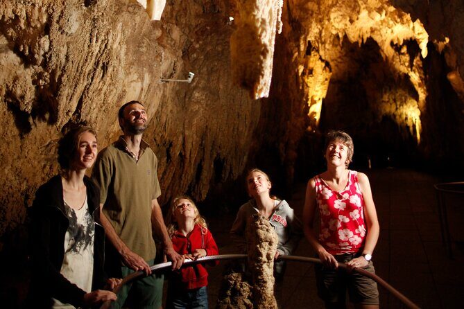 From Auckland:Hobbiton Movie Set & Waitomo Caves Small Group Tour - Auckland pickup and the Waikato drive that actually feels paced