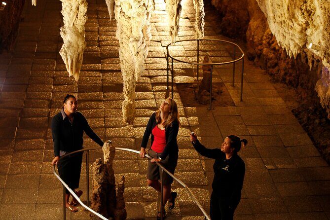 From Auckland:Hobbiton Movie Set & Waitomo Caves Small Group Tour - Price and value: is $257.54 worth it for this full day?