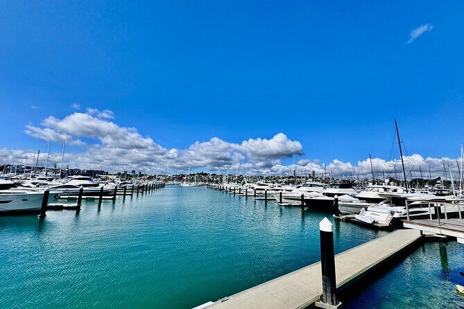 Full-Day Auckland Discovery - Mission Bay Views at MJ Savage Memorial Park