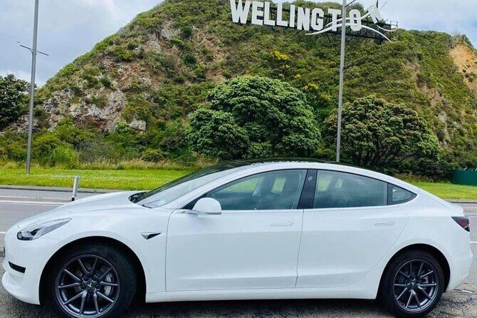 Full-Day Driver with Tesla Car-Customisable North Island Tour - Key highlights you’ll feel in real life