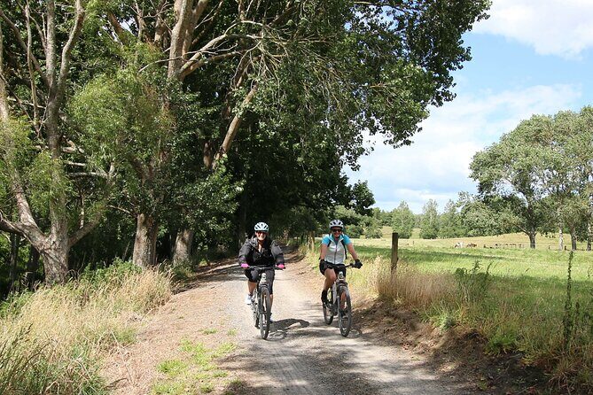 Full Day Ebike Tour in Karangahake Gorge (ex Auckland) - Auckland pickup and the air-conditioned shuttle van plan