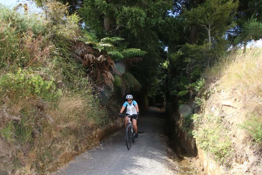 Full Day Ebike Tour - Karangahake Gorge NZ - From Auckland to Waikino: how the day gets rolling