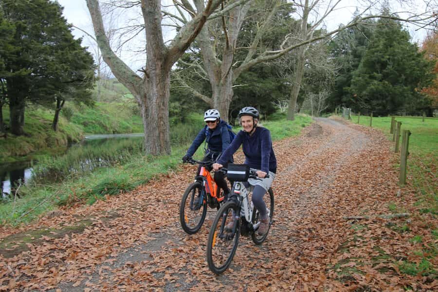Full Day Ebike Tour - Karangahake Gorge NZ - Waikino to Waihi: the morning ride and the first food stop