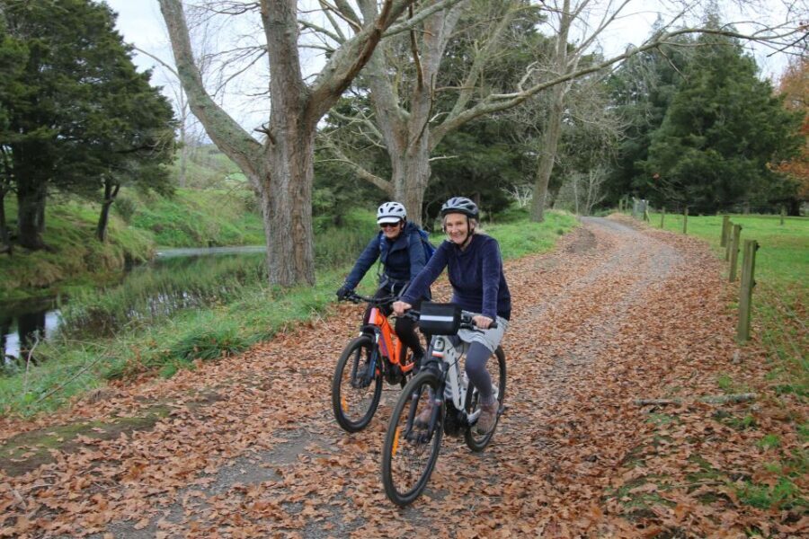Full Day Ebike Tour - Karangahake Gorge NZ - Martha Gold mine pit: the scenic rim ride and optional extension
