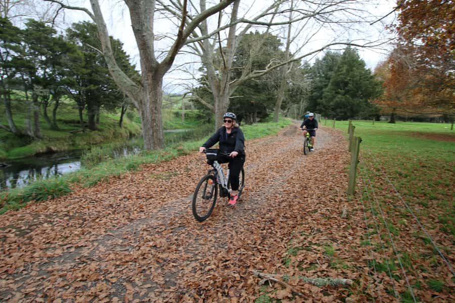 Full Day Ebike Tour - Karangahake Gorge NZ - Support wagon, snacks, and NZ-style lunch that keeps the day pleasant