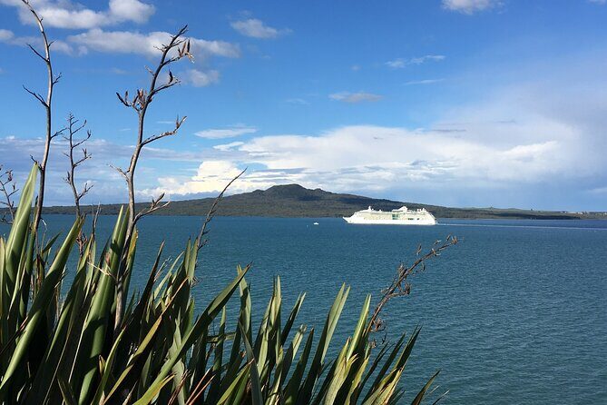Full-Day Grand Auckland Volcanoes Tour - Stop 5 at Maungawhau / Mount Eden: the summit viewpoint that’s worth the climb