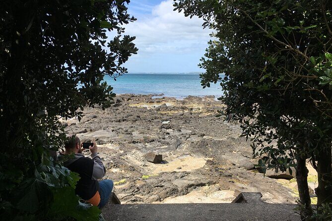 Full-Day Grand Auckland Volcanoes Tour - The 8:00am start: port pickup plus a minivan that’s small on purpose