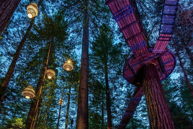 FULL DAY ROTORUA TOUR - Fully Customisable 13 hours Unlimited KMS - 13 hours, unlimited kilometres, and the art of not rushing yourself