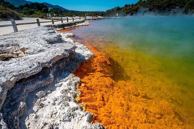 FULL DAY ROTORUA TOUR - Fully Customisable 13 hours Unlimited KMS - Geothermal park choosing guide: Te Puia vs Wai-O-Tapu vs Waimangu vs Hell’s Gate