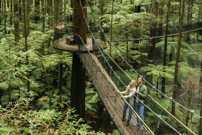 FULL DAY ROTORUA TOUR - Fully Customisable 13 hours Unlimited KMS - How day one typically feels: a big Rotorua base plus Taupō wow-factor