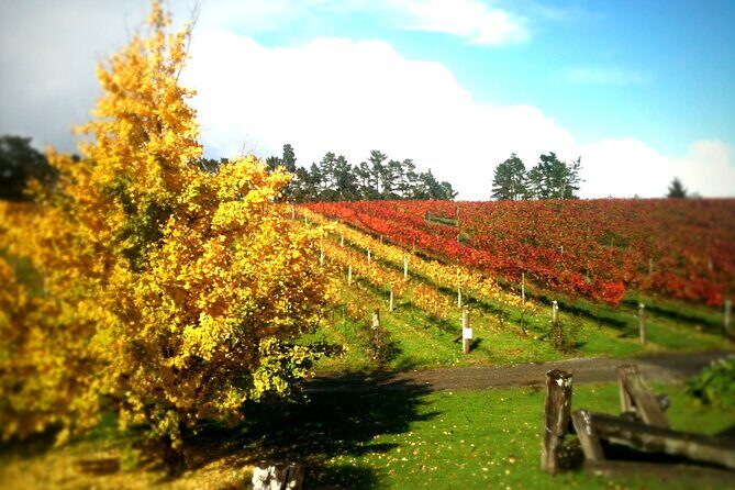 Full-Day Wine Tasting Tour in Auckland with 3-Course Vineyard Lunch - Stop 1: The Hunting Lodge Winery and Restaurant in Auckland Wine Country