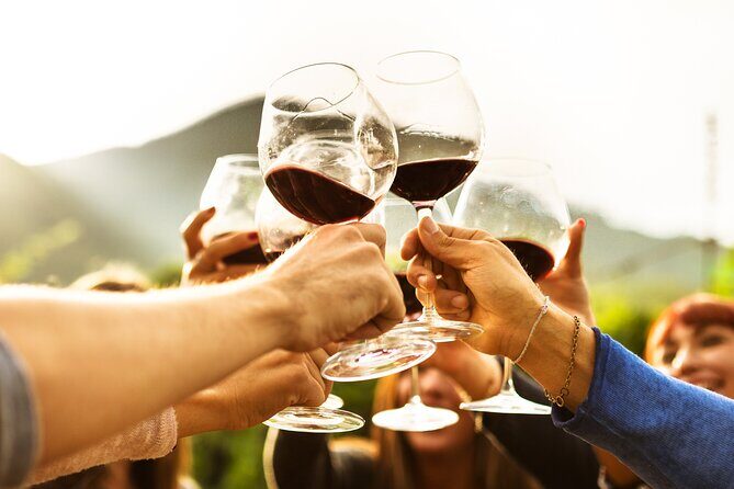 Full-Day Wine Tasting Tour in Auckland with 3-Course Vineyard Lunch - Lunch, Tastings, and Meal-Time Drinks: The Included Value