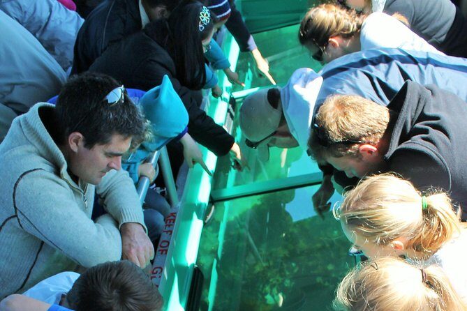 Glass Bottom Boat Tour - Quick reasons to choose this Goat Island glass-bottom tour