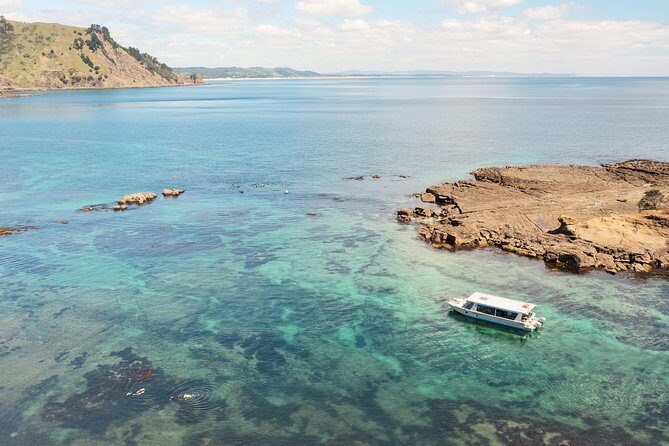 Glass Bottom Boat Tour - Glass Views at Goat Island, Just North of Auckland